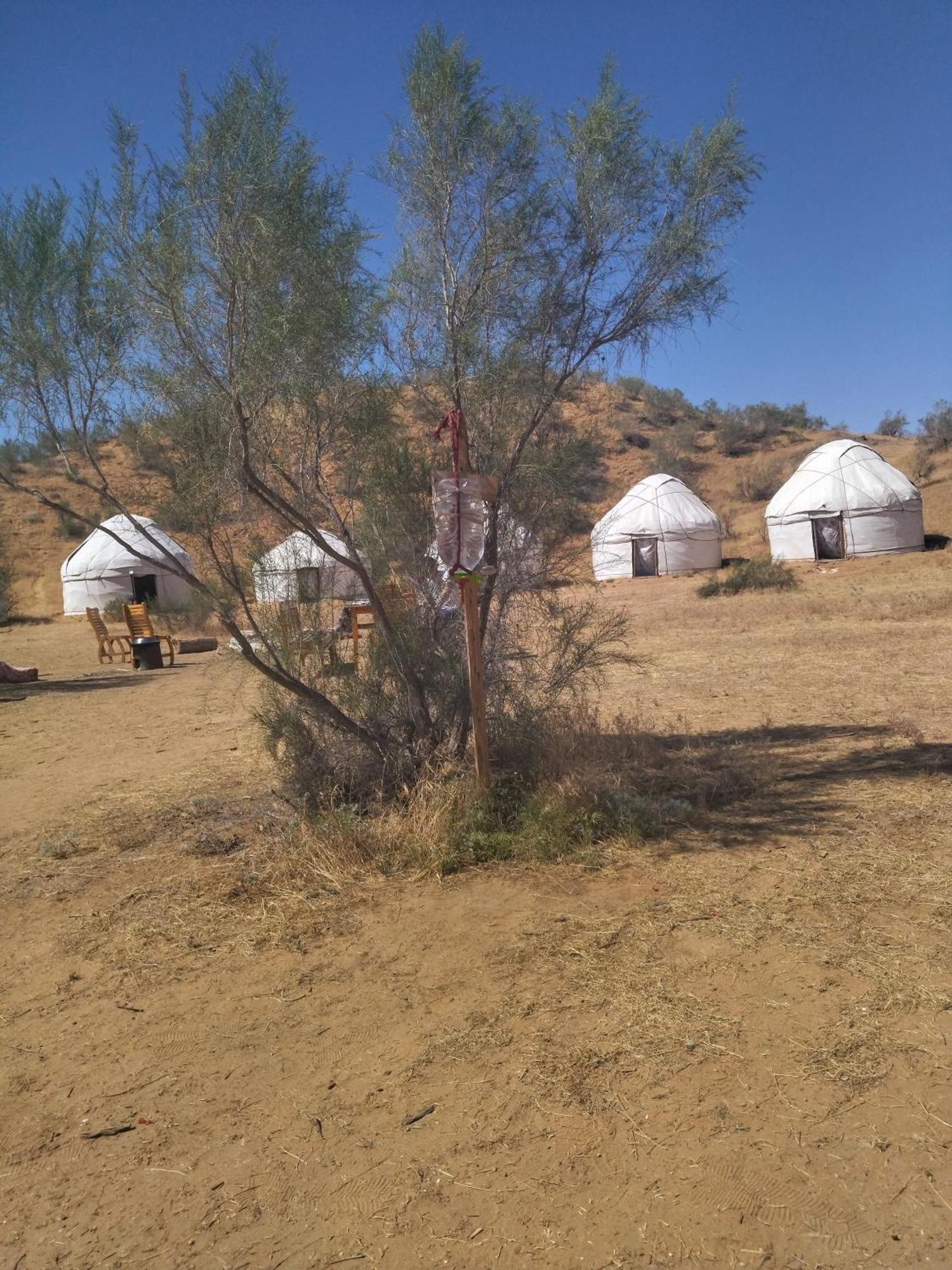 Authentic Uzbek Yurt Camp Eco-Friendly Hotel Nurota Kültér fotó